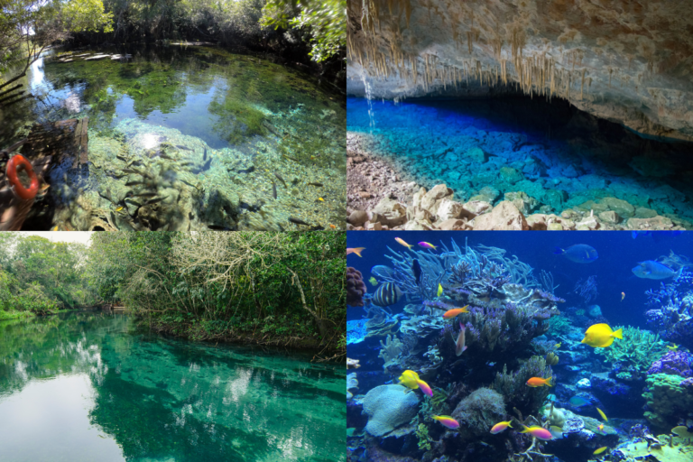 Bonito Mato Grosso Do Sul