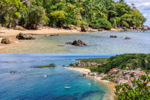 Ilha do Cardoso