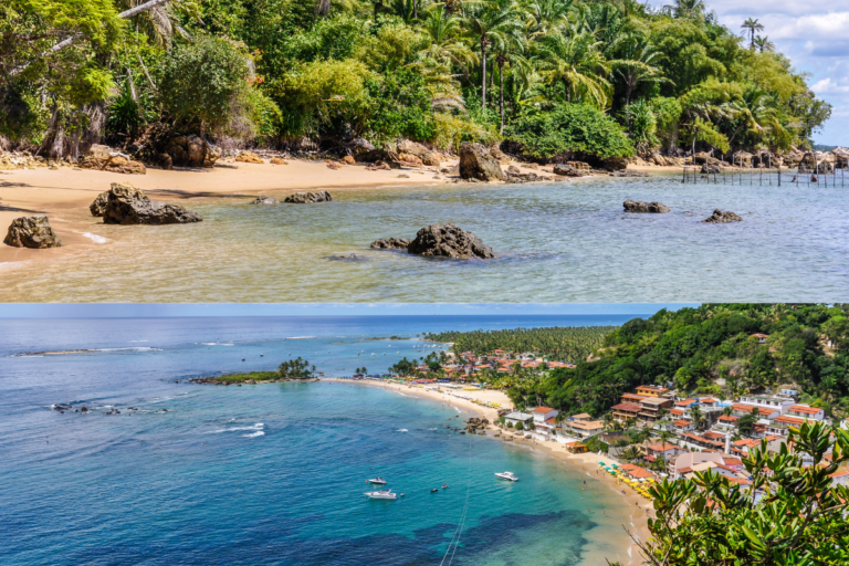 Ilha do Cardoso